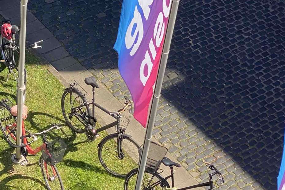 discovery art fair cologne 2025